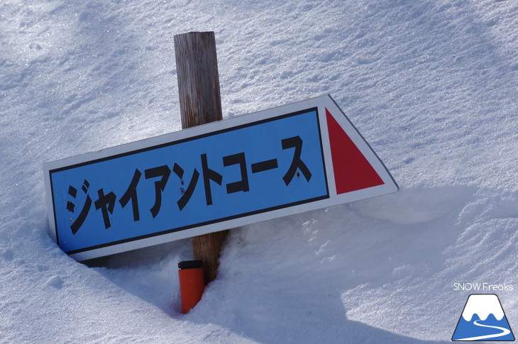 新得町・新得山スキー場 記録的な大雪でスキー場開設以来、最大積雪に到達?!